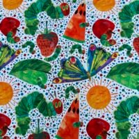 Hungry caterpillar storybook