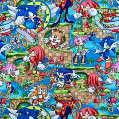 Sonic’s World