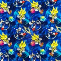 Sonic and Tails