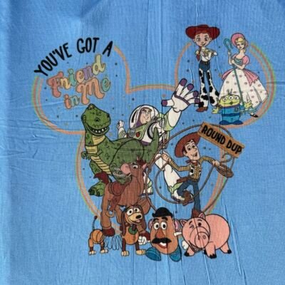 You’ve got a friend in me Panel