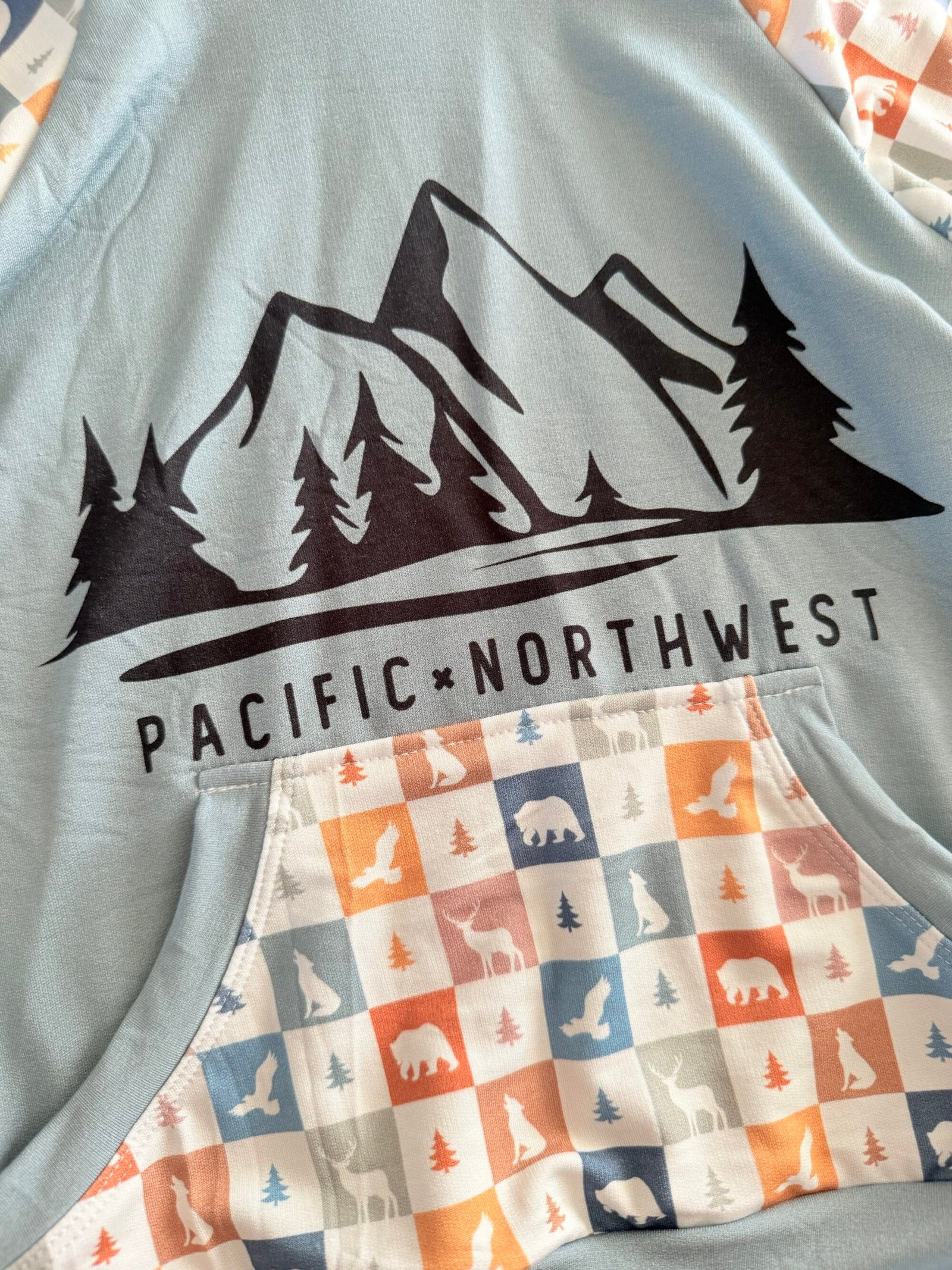 5Y | PNW Raglan Hoodie