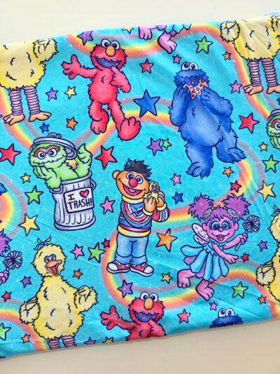 img_9416 Sesame Street Friends